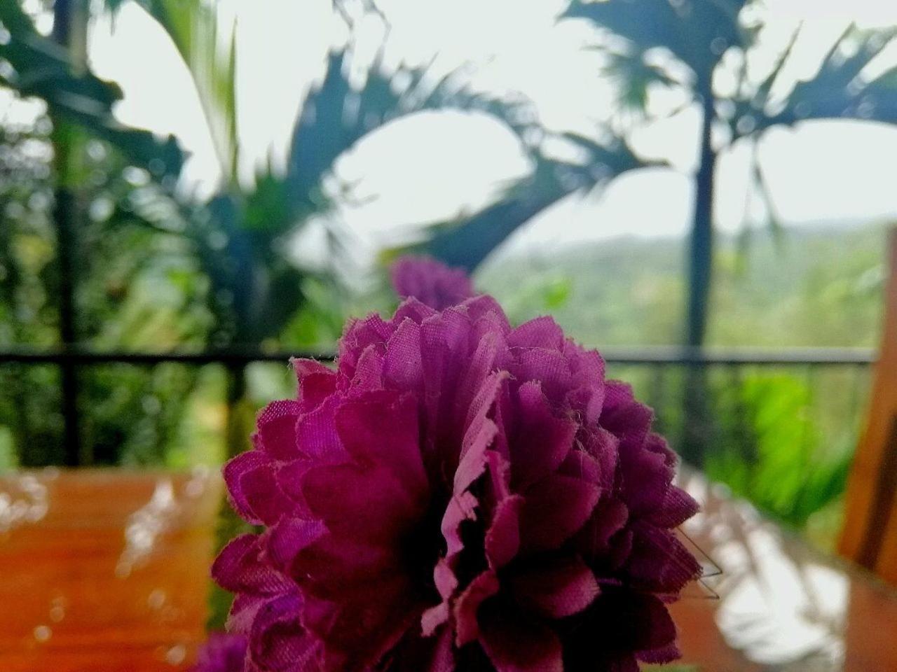 Nature Casa BЕлла Екстер'єр фото